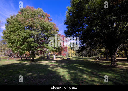 Washington Crossing Park, New Jersey Stockfoto