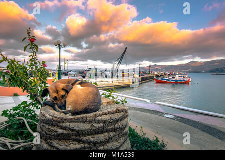 Die pictursque Hafen von Sitia, Kreta, Griechenland bei Sonnenuntergang. Sitia ist eine traditionelle Stadt im Osten der Insel Kreta, in der Nähe des Strandes von Palmen, Vai. Stockfoto