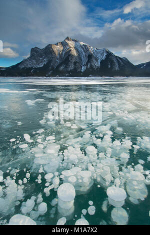 Gefrorenem Methan blasen, Winter, Abraham Lake, kanadische Rockies in Alberta, Kanada Stockfoto