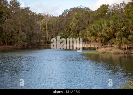 Gemini Springs, DeBary, Florida Stockfoto