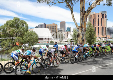 ADELAIDE, Australien - Januar 21: Peleton übergibt die Stadt Adelaide Skyline während Phase 6 Sicher Sein gesehen MAC an der Santos Tour Down werden Unter auf Janua Stockfoto