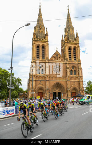 ADELAIDE, Australien - Januar 21: Peleton sprinten, während Phase 6 werden Sicher gesehen MAC an der Santos Tour Down Under am 21. Januar, 20. Stockfoto