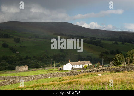 Bauernhaus auf einem Hügel in Swaledale, Yorkshire Dales, England. Eine September Tag des Sonnenscheins und Duschen. Stockfoto