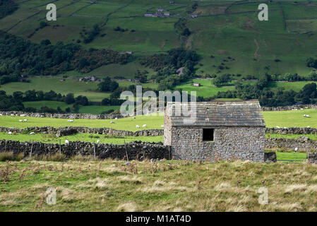 Alte Scheune auf einem Hügel oberhalb von swaledale in North Yorkshire, England. Stockfoto