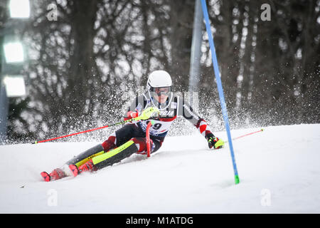 ZAGZAGREB, KROATIEN - Januar 4, 2018: Rodes Istok Cro konkurriert während des Audi FIS Alpine Ski World Cup Mens Slalom, Snow Queen Trophy 2018 in Zag Stockfoto