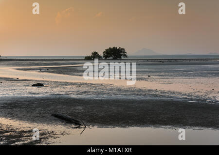 Strand Sumpf Stockfoto