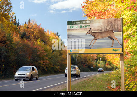 Schild am Straßenrand in französischer Sprache warnen vor der Gefahr einer Kollision mit wilden Tieren, die Straße zu überqueren. Mt Tremblant, Quebec, Kanada. Stockfoto