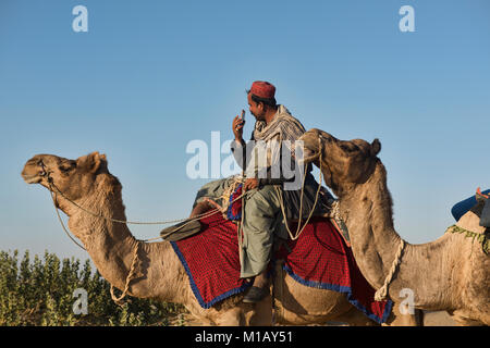 Moderne tag Kameltrekking in der Wüste Thar, Rajasthan, Indien Stockfoto