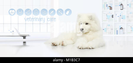 Hund in der Tierklinik mit tierärztliche Pflege Symbole, Tierarzt Prüfung Konzept Web Banner Stockfoto