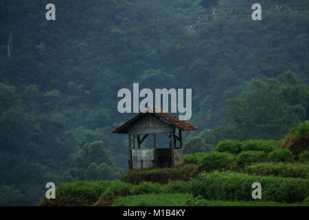 Mountain Area in Pacet, Kertasari, Bandung, Indonesien, Südostasien, Asien. Stockfoto