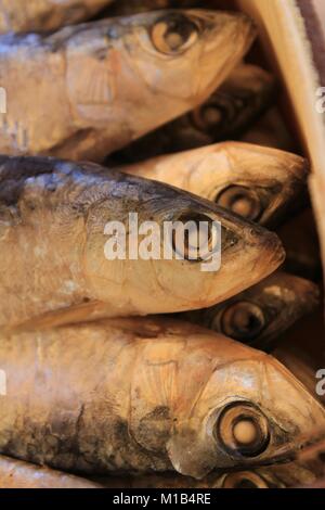 Gesalzener Fisch Produkte für den Verkauf an einem Markt in Spanien Abschaltdruck Stockfoto