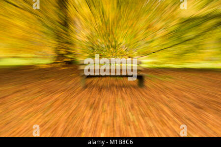 Abstrakte zoom Platzen einer Holzbank vor der Bäume mit n herbstliche Abdecken von Blättern in Westonbirt National Arboretum, Gloucestershire, England Stockfoto