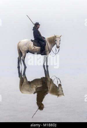 Camargue Pferd (Equus caballus), und der Wächter im Wasser in der Nähe von Saintes-Marie-de-la-Mer, Camargue, Frankreich, Europa Stockfoto