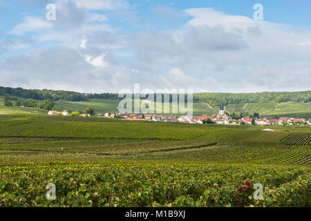 Weinberge im Dorf Chamery mit Kirche in der Region Champagne, Frankreich Stockfoto