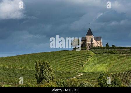 Kirche von Chavot-Courcourt herum mit der Sonne auf die Kirche, dunkle Regenwolken am Himmel und die Weinberge der Champagne, Frankreich. Stockfoto