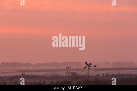 Winter Morgen bei Sonnenaufgang über dem weißen Wiesen mit kleinen Windmühlen in der Nähe des kleinen Dorfes Giethoorn in Overijssel, Niederlande. Stockfoto