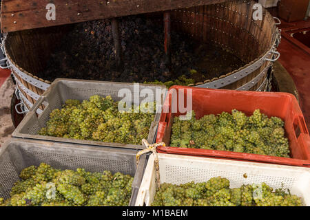 Épernay, Frankreich - 10. September 2017: Alte hölzerne Weinpresse (Pressoir) mit Kisten von Chardonnay und Pinot Noir Trauben an Champagner Haus Regent i Stockfoto