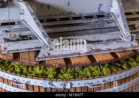 Épernay, Frankreich - 10. September 2017: Alte hölzerne Weinpresse (Pressoir) mit Chardonnay Trauben an Champagner Haus Regent in Dizy, drücken Sie Schließen, Franc Stockfoto