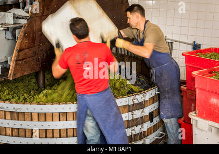 Épernay, Frankreich - 10. September 2017: Alte hölzerne Weinpresse (Pressoir) und Männer arbeiten mit Kisten mit Weintrauben an Champagner Haus Regent in Épernay, Frankreich Stockfoto