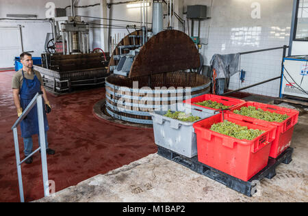 Épernay, Frankreich - 10. September 2017: Zwei alte hölzerne Wein pressen (Pressoir) und der Mann an der Champagner Haus Regent in Épernay, Frankreich Stockfoto