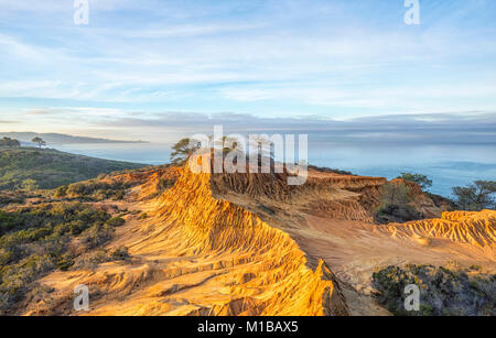 Blick auf die Küste von der Broken Hill Blick. Torrey Pines State Natural Reserve in La Jolla, Kalifornien, USA. Stockfoto