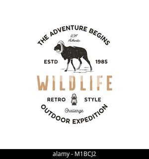 Abenteuer Logo Design. Camping Abenteuer Abzeichen Vorlage. Wilde Ziege typogaphy insignia Konzept. Jahrgang hand gezeichnete silhouette Form des Wildes Tier. Vektor auf weißem Hintergrund Stock Vektor