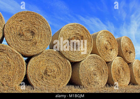 Stapel von runde Heuballen von geernteten Feld gegen den blauen Himmel im Herbst. Stockfoto