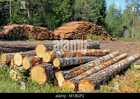 Stapel von Protokollen an einen Wald anmelden. Stockfoto