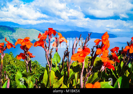 Red iris Blumen Framing der Blick auf samosir Lake Toba in Nordsumatra, Indonesien Stockfoto