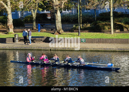 Frauen Mannschaft von vier Ruderer mit Cox Rudern auf dem Fluss Avon in Evesham, Wychavon, Worcestershire, England, Großbritannien, Großbritannien Stockfoto