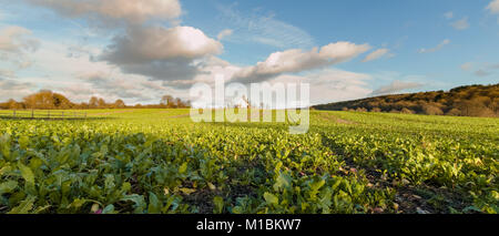 St Huberts Kirche, Idsworth, Hampshire, Großbritannien - Januar Sonnenuntergang Stockfoto