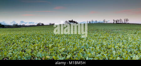 St Huberts Kirche, Idsworth, Hampshire, Großbritannien - Januar Sonnenuntergang Stockfoto