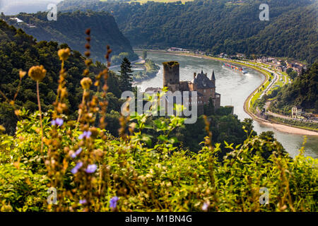 Burg Katz, oberhalb von St. Goarshausen, im Rheintal, Fracht, Deutschland Stockfoto