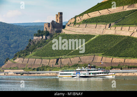 Die Ruine von Burg Ehrenfels in das Obere Mittelrheintal, Weinberge in der Nähe von RŸdesheim, Exkursion Boot Paddel wheeler Goethe, Stockfoto