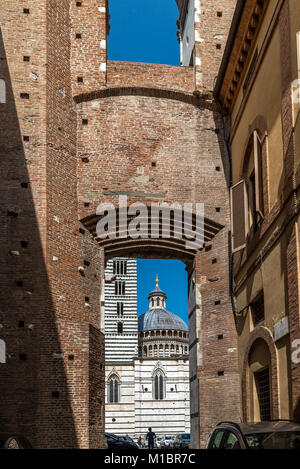 Glockenturm und Dome durch die Südwand der Duomo Nuovo in Siena, Italien. Stockfoto