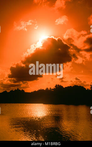 Sonnenuntergang auf Busby Teich in Centennial Park in Sydney, Australien. Stockfoto