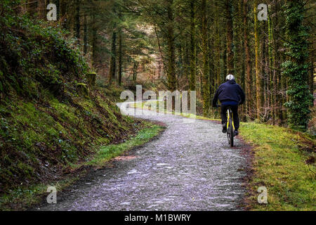 Cardinham Holz in Cornwall - ein Mountainbiker reiten entlang einer Spur durch Cardinham Holz in Bodmin Cornwall läuft. Stockfoto