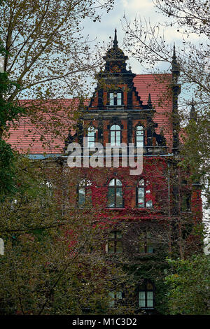 Gebäude des Nationalen Museums in Wroclaw, Polen, im wunderschönen Efeu bedeckt, von einem Architekten Karl Friedrich Endell entworfen und 1883 errichtet - 1886. Stockfoto