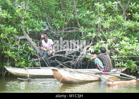 Madu Ganga, Balapitiya, Sri Lanka - Dezember 2015 - Zwei Fischer in der mangrooves während einer Pause, Asien Stockfoto