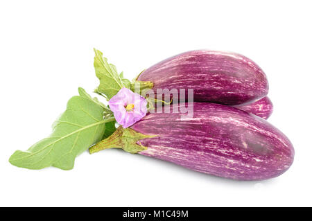 Reif lila Auberginen mit Blätter und Blüte isoliert auf dem weißen Hintergrund Stockfoto