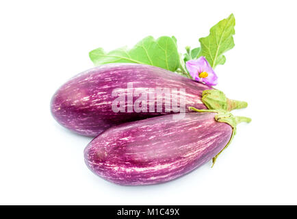 Zwei reife lila Auberginen mit Blätter und Blüte isoliert auf dem weißen Hintergrund Stockfoto