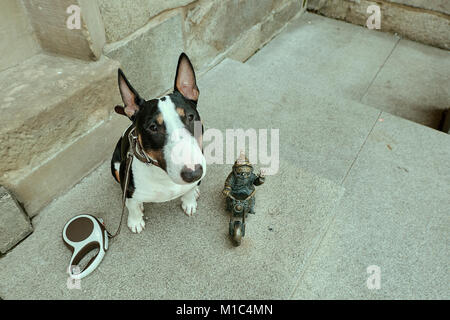 Zwerg gnome kleine Statue, gnome Biker auf Motorrad, Bronze Statue mit einem puppy dog miniature Bull Terrier auf sie starrte. Wroclaw, Polen Stockfoto