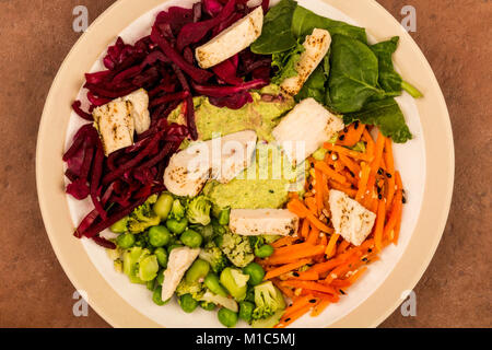 Asiatische Spezialitäten vom Holzkohlegrill Geflügelsalat mit Rotkohl Karotten Edamame Bohnen und Hummus gegen einen roten Fliesen- Hintergrund Stockfoto