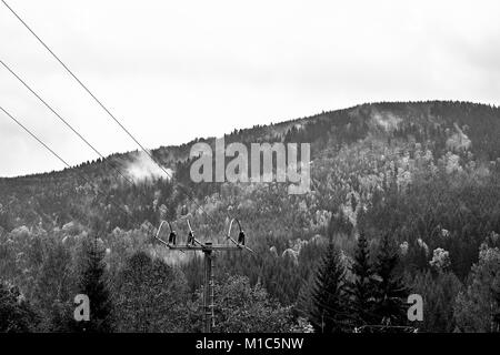 Nebel und Dunst über den Pine Mountain Forest mit Hochspannungsleitungen. Schwarz und Weiß. Monochrom. Stockfoto