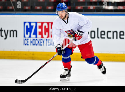 Prag, Tschechische Republik. 29 Jan, 2018. Jan Kovar, Eishockey Spieler der tschechischen Nationalmannschaft, besucht eine Schulung in Prag, Tschechische Republik, am Montag, 29. Januar 2018, im Vorfeld der Olympischen Winterspiele 2018 in Pyeongchang, Südkorea. Quelle: Michal Kucera/CTK Photo/Alamy leben Nachrichten Stockfoto