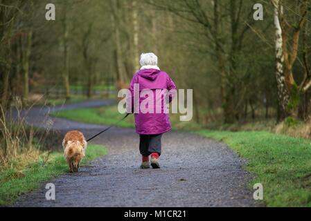 Eine ältere Dame, Spaziergänge mit ihrem Hund entlang der Sett Valley Trail in neuen Mühlen, Derbyshire. Stockfoto