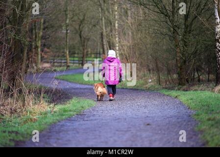 Eine ältere Dame, Spaziergänge mit ihrem Hund entlang der Sett Valley Trail in neuen Mühlen, Derbyshire. Stockfoto