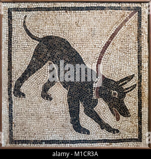 Neapel. Italien. Römische Mosaik der einen Hund an der Leine, von Pompeji. Museo Archeologico Nazionale di Napoli. Neapel Nationalen Archäologischen Museum. Von der Via Stockfoto