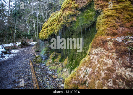 Wassertropfenvorhang an der Wutachschlucht im Schwarzwald Deutschland Stockfoto