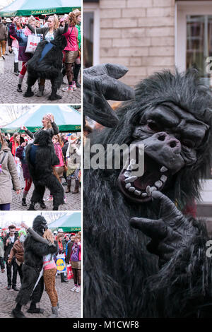 Köln, Deutschland - 14. März 2014: Wie ist die Straße, Karneval, ein Gorilla ist Tanz mit einer Stockfoto